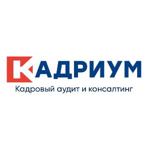 Кадриум - кадровый аудит - Город Воронеж